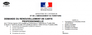 carte professionnelle immobilier